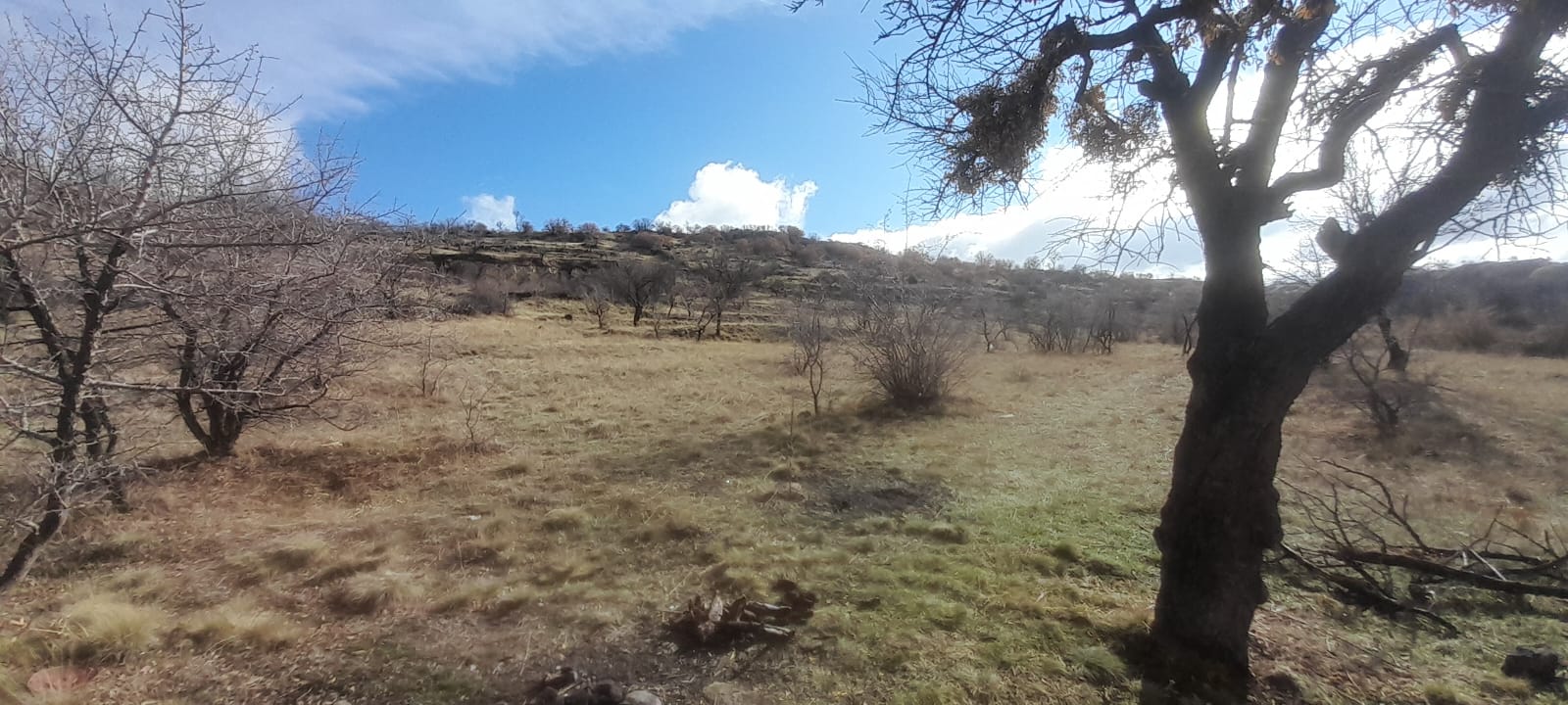 1.ETAP TOKİLERİN ARKA TARAFINDA 12678M2 SATILIK TARLA