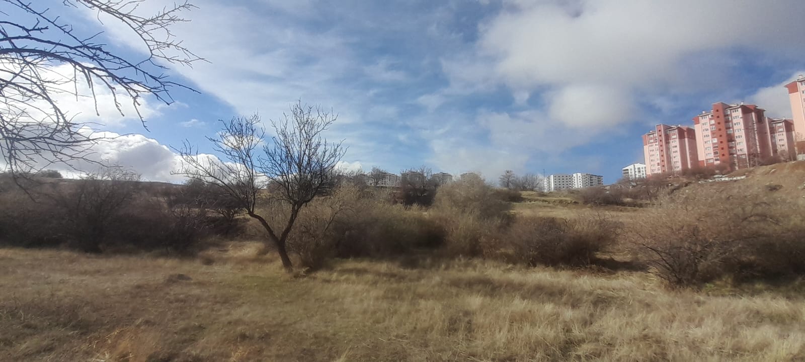 1.ETAP TOKİLERİN ARKA TARAFINDA 12678M2 SATILIK TARLA