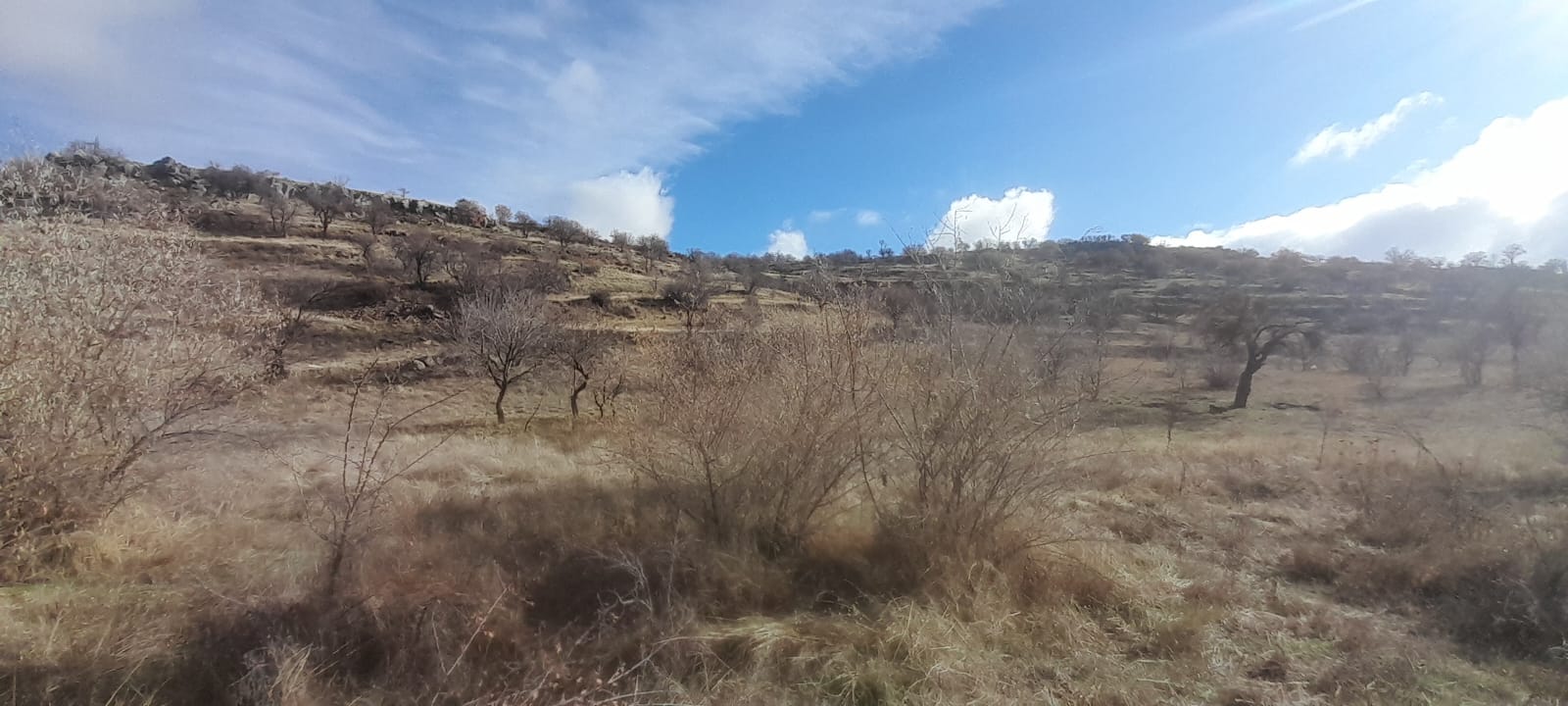 1.ETAP TOKİLERİN ARKA TARAFINDA 12678M2 SATILIK TARLA