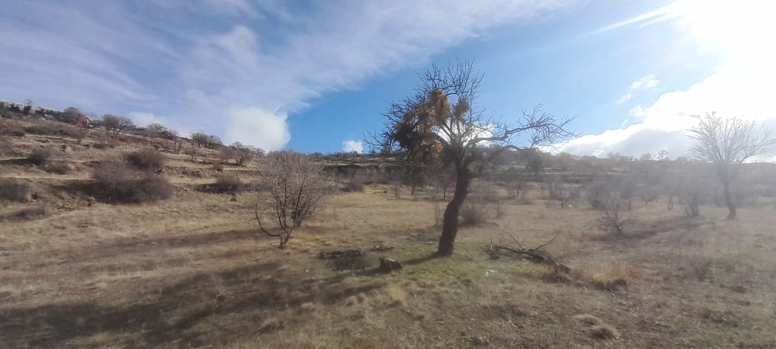 1.ETAP TOKİLERİN ARKA TARAFINDA 12678M2 SATILIK TARLA