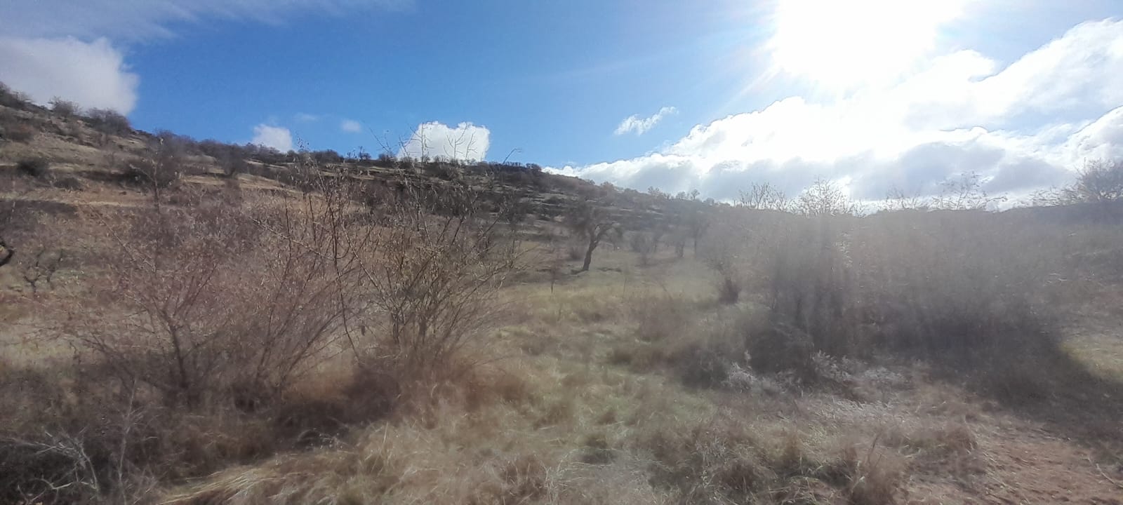 1.ETAP TOKİLERİN ARKA TARAFINDA 12678M2 SATILIK TARLA