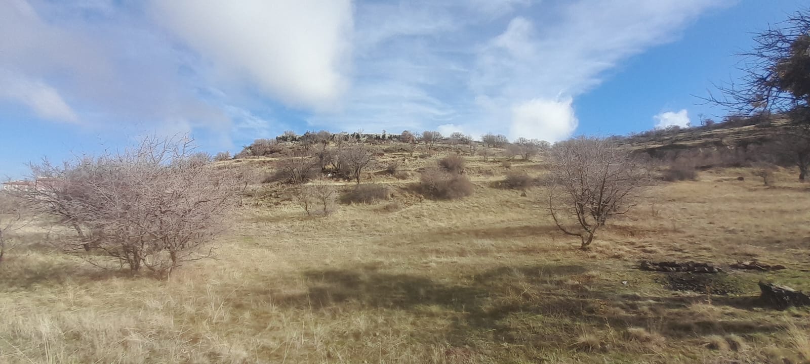 1.ETAP TOKİLERİN ARKA TARAFINDA 12678M2 SATILIK TARLA