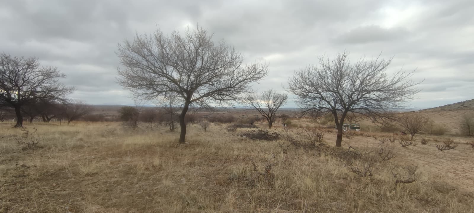 ÇAT 15 TEMMUZDA 1773M2 SATILIK BAĞ