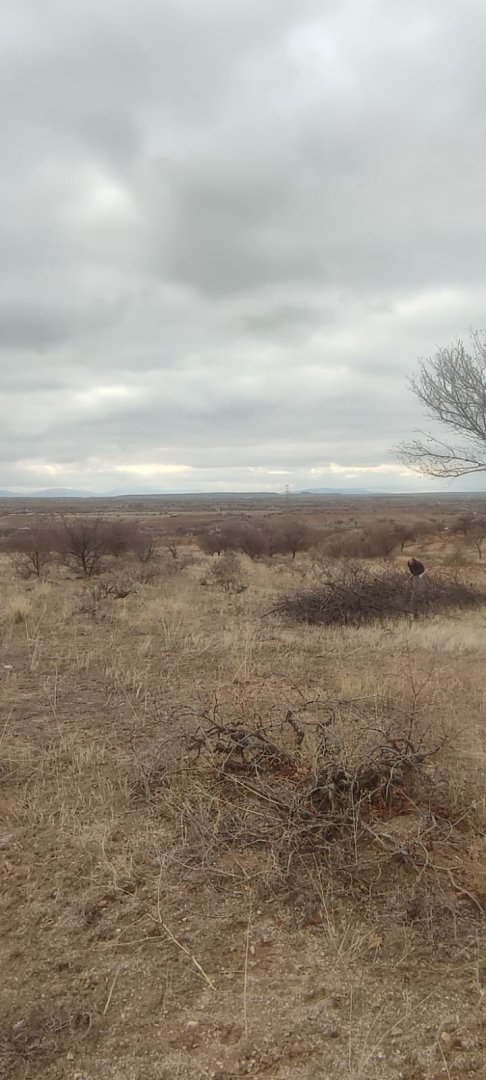 ÇAT 15 TEMMUZDA 1773M2 SATILIK BAĞ