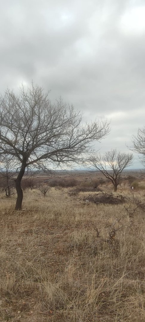 ÇAT 15 TEMMUZDA 1773M2 SATILIK BAĞ