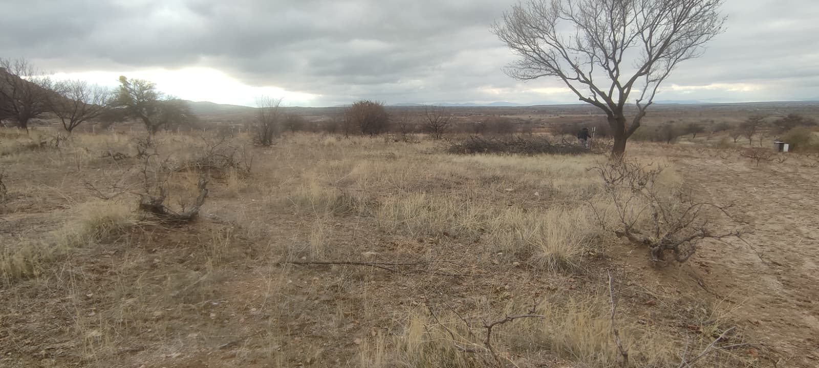 ÇAT 15 TEMMUZDA 1773M2 SATILIK BAĞ