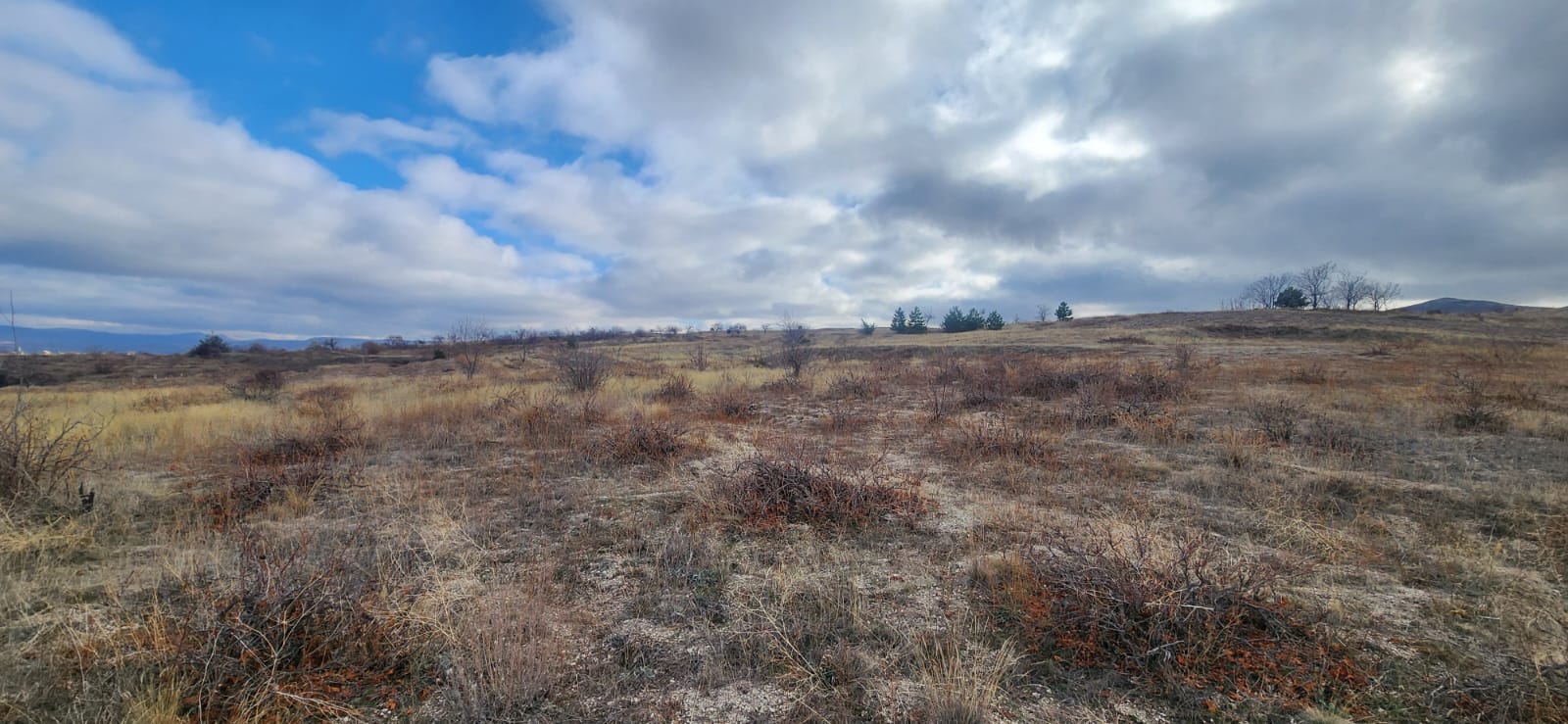 GÖREMEDE 3880M2 SATILIK BAĞ