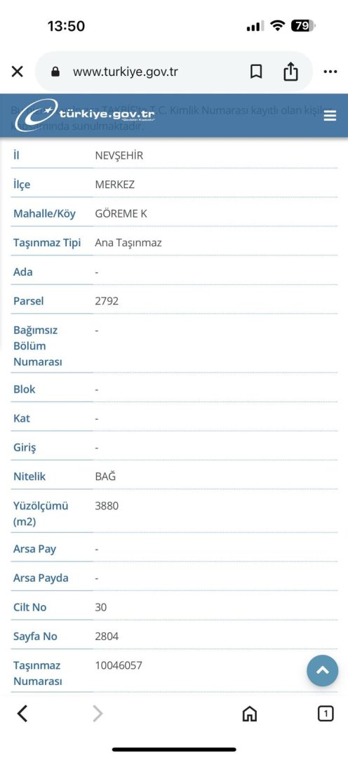 GÖREMEDE 3880M2 SATILIK BAĞ