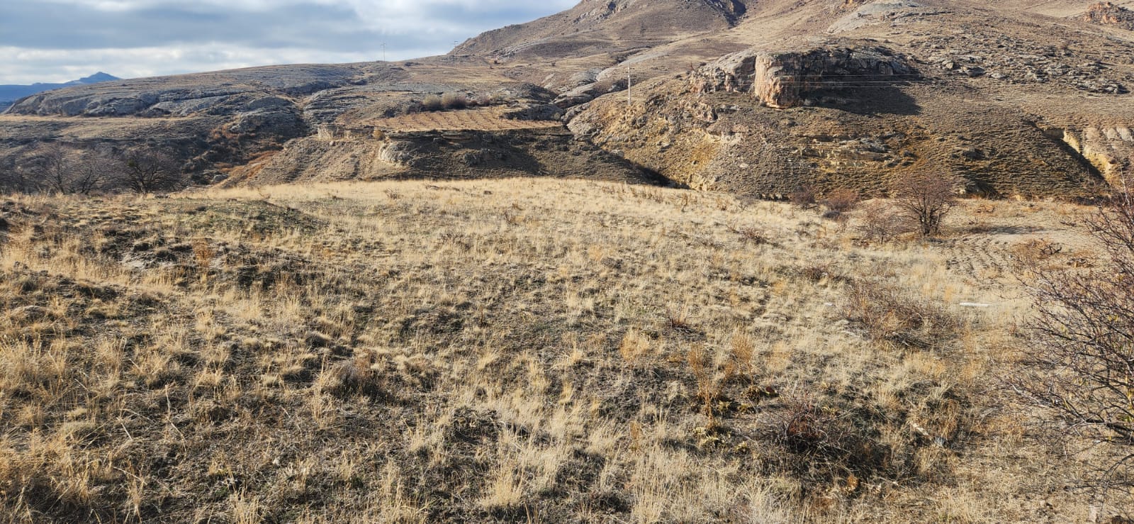 GÖREMEDE 3880M2 SATILIK BAĞ