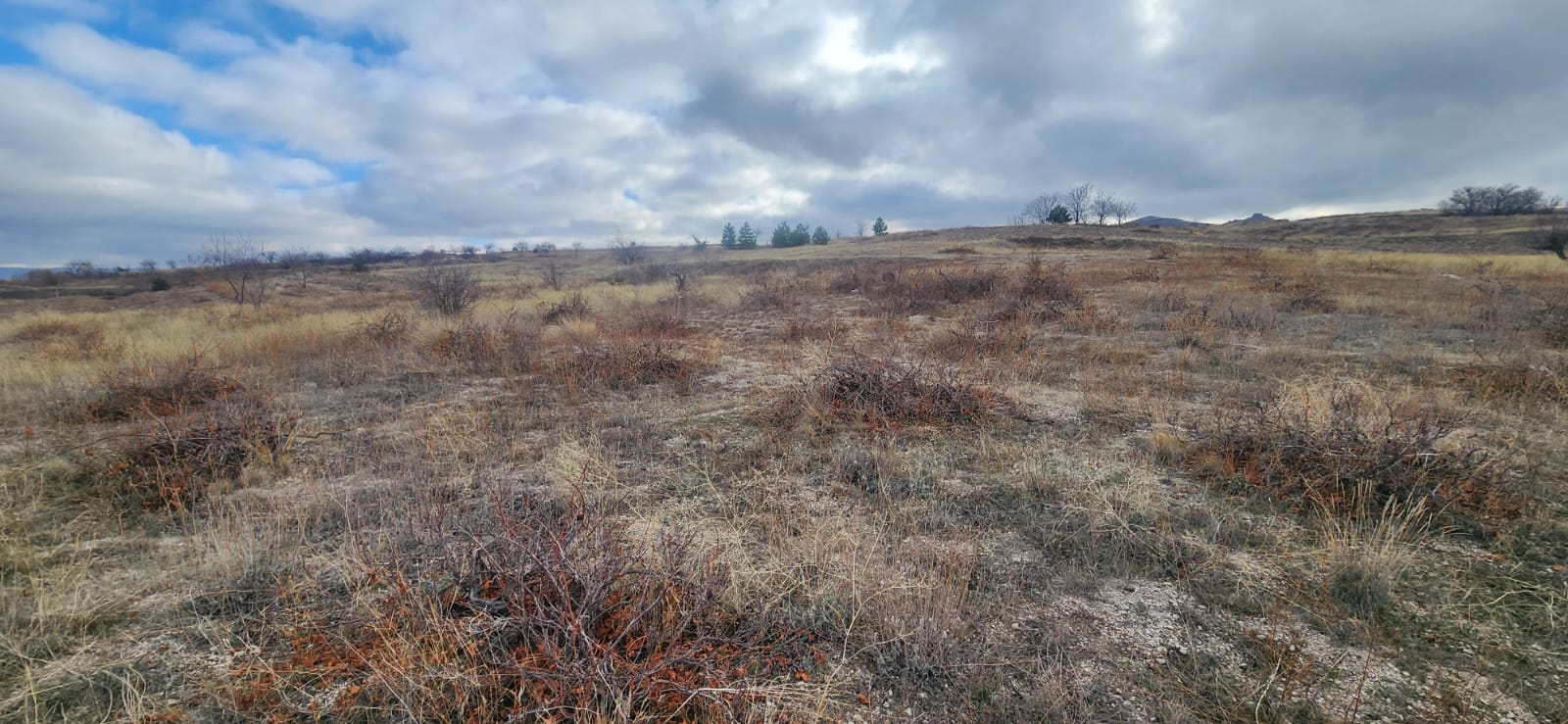 GÖREMEDE 1980 M2 SATILIK BAĞ