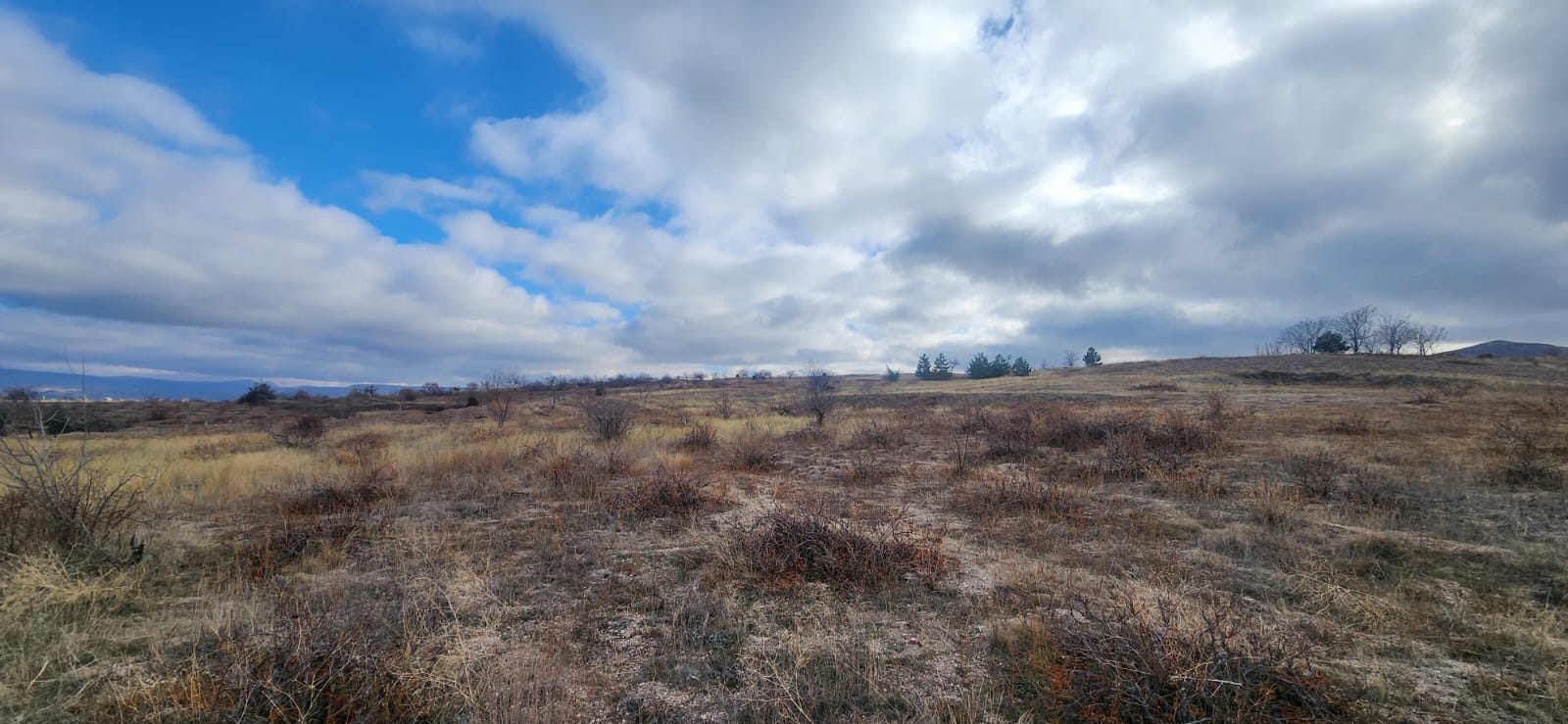 GÖREMEDE 1980 M2 SATILIK BAĞ