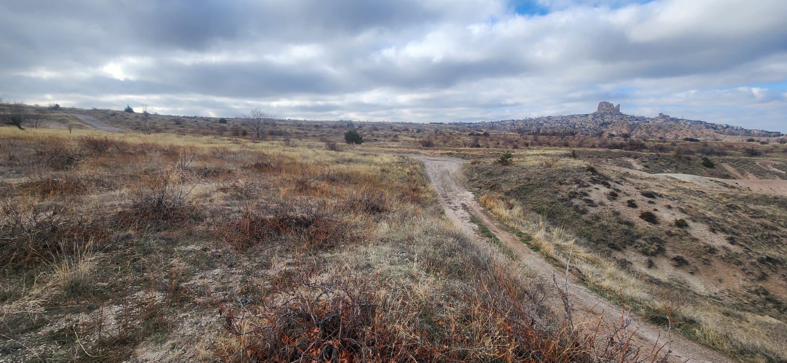 GÖREMEDE 1980 M2 SATILIK BAĞ