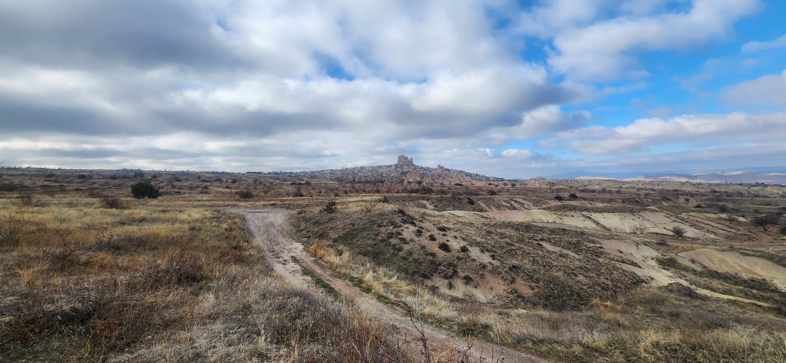 GÖREMEDE 1980 M2 SATILIK BAĞ