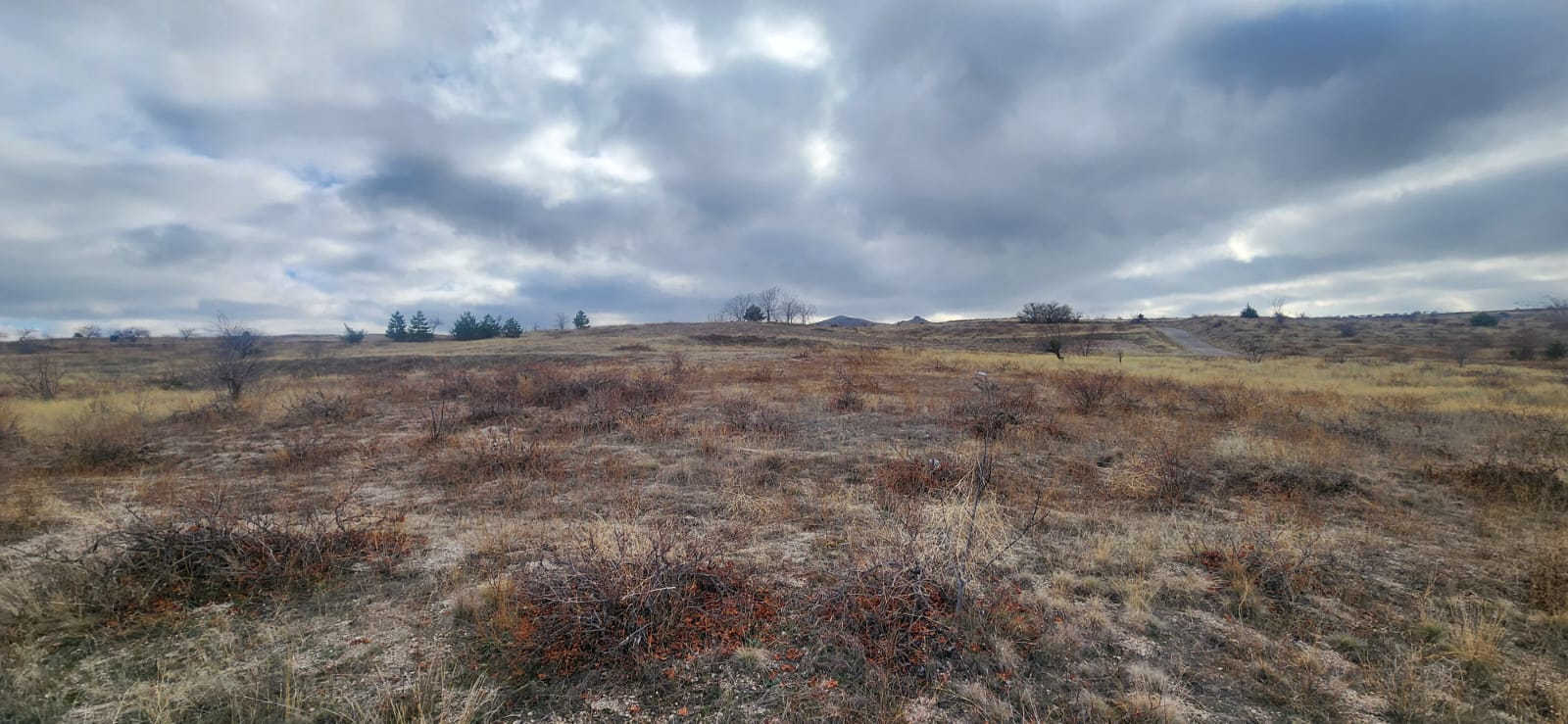 GÖREMEDE 1980 M2 SATILIK BAĞ