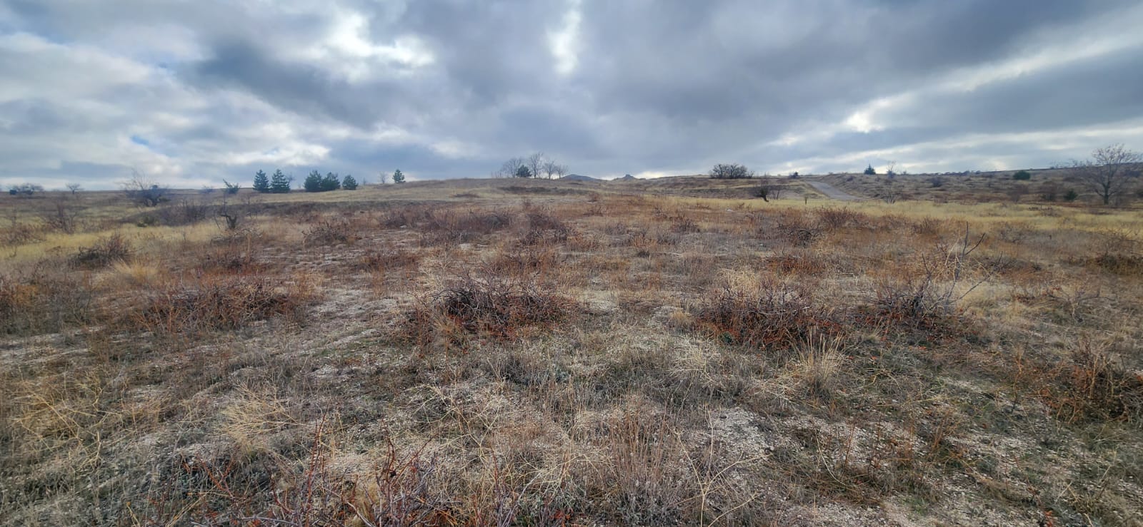 GÖREMEDE 1980 M2 SATILIK BAĞ