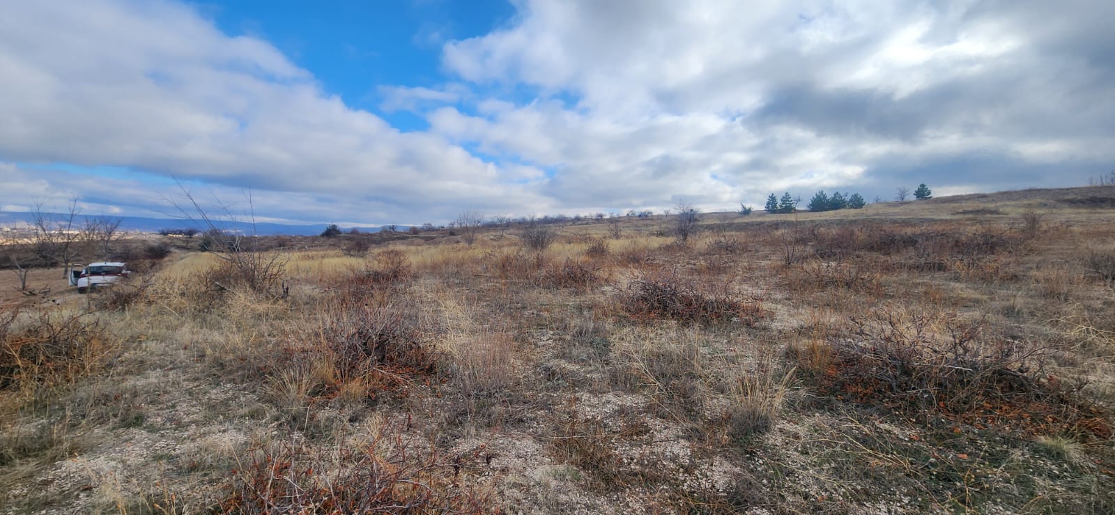 GÖREMEDE 1980 M2 SATILIK BAĞ