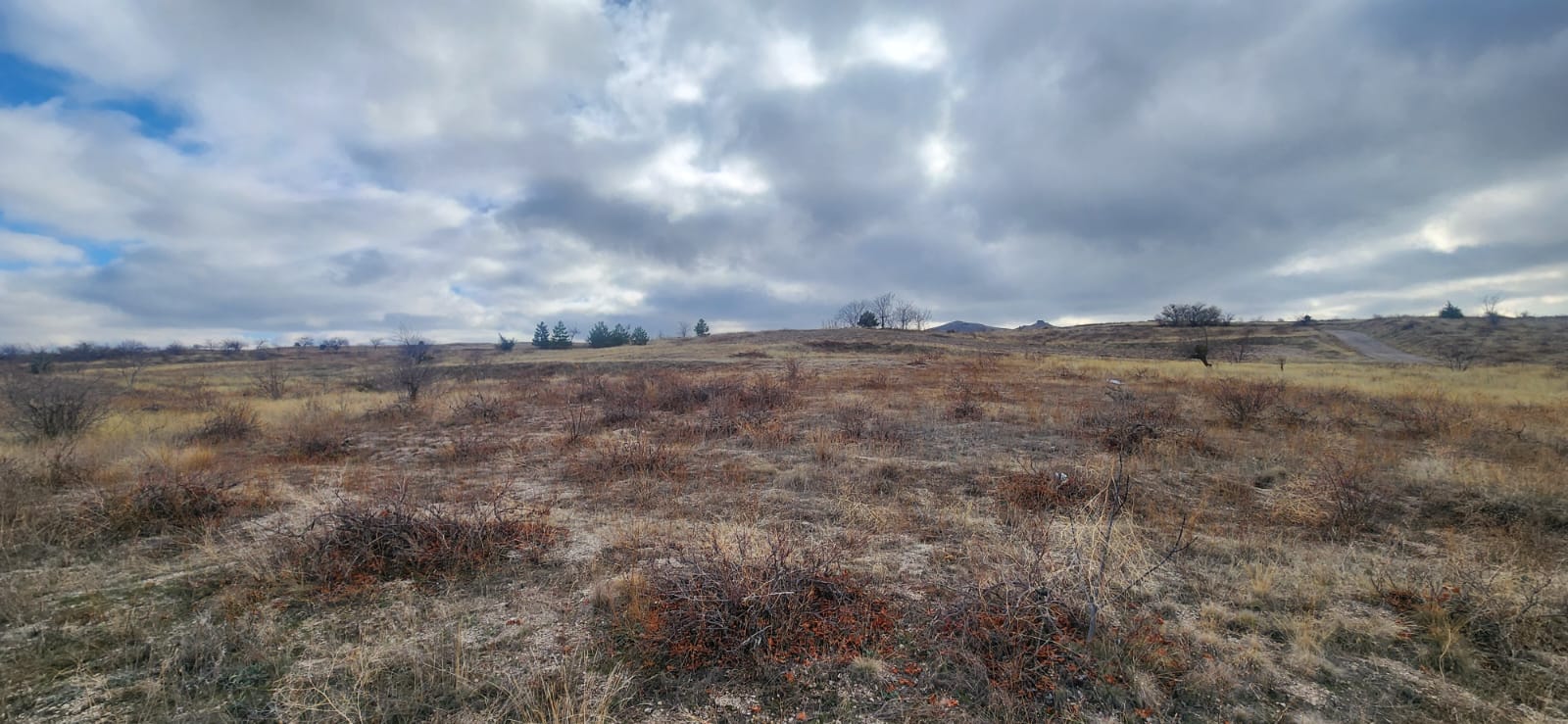 GÖREMEDE 1980 M2 SATILIK BAĞ