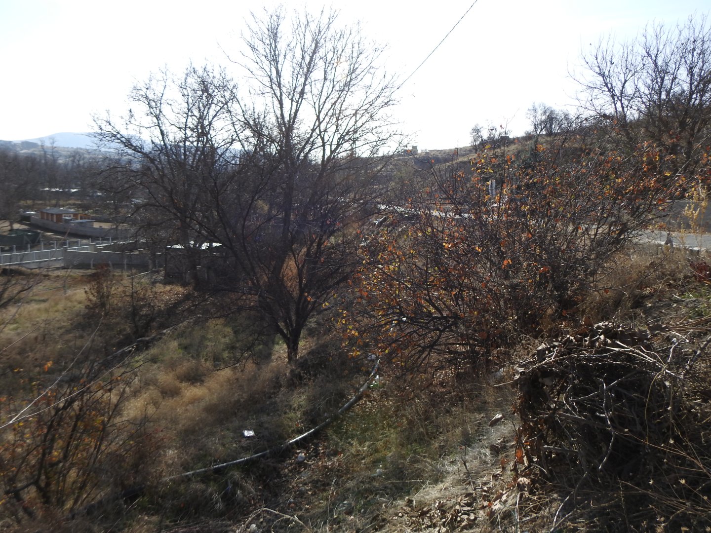 NARDA İKİ TARAFIDA YOLA SIFIR SATILIK BAĞ