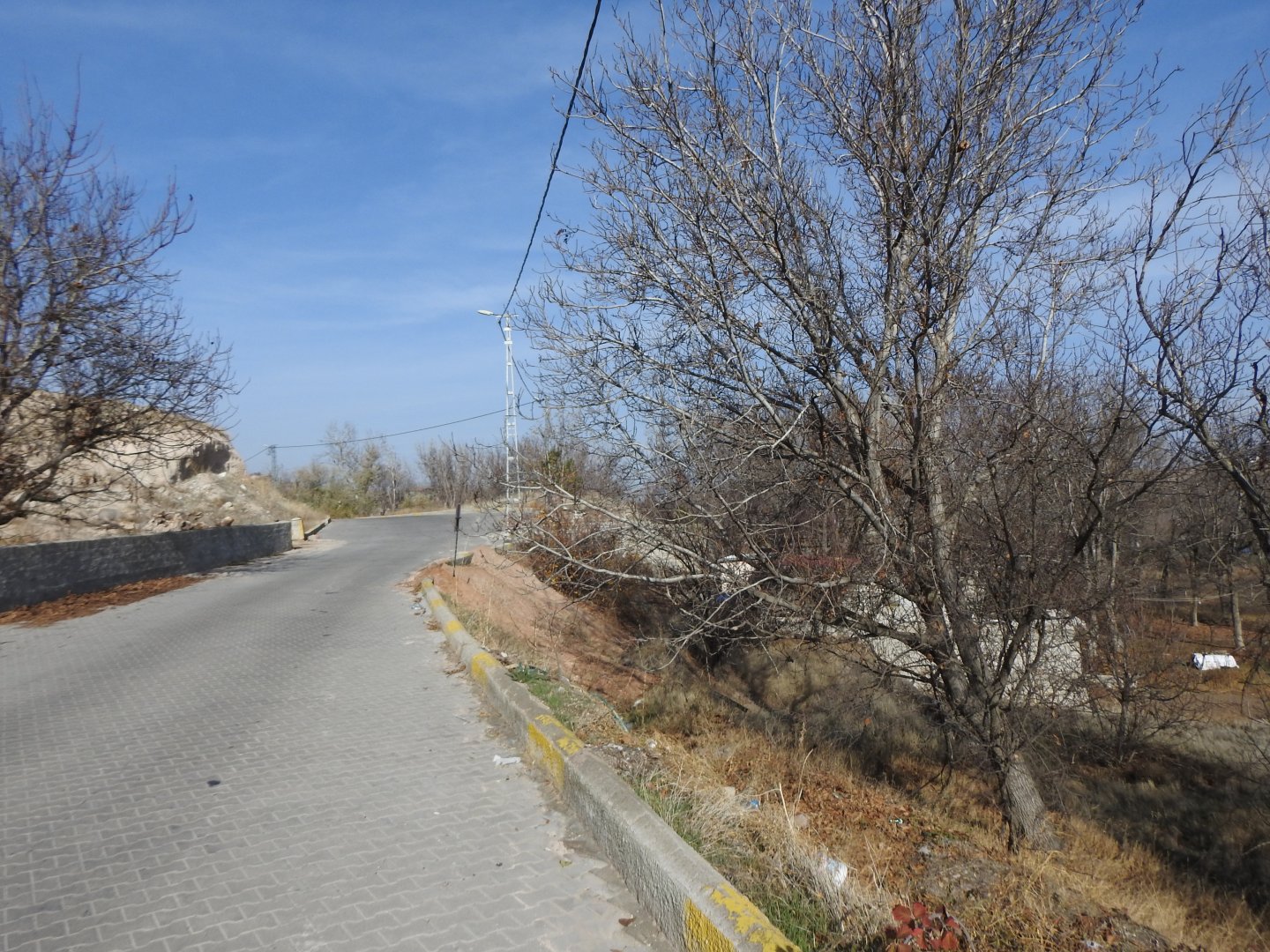 NARDA İKİ TARAFIDA YOLA SIFIR SATILIK BAĞ