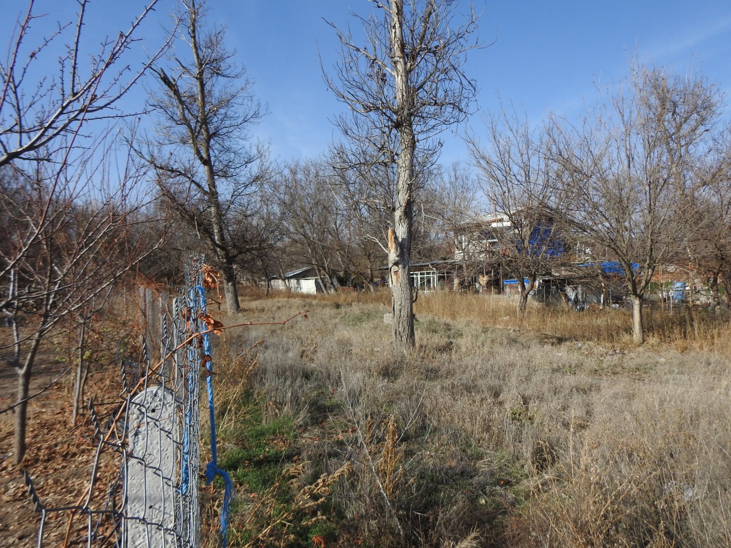 NAR AŞAĞI MAHALLEDE 1850M2 YOLA SIFIR KONUMDA SATILIK BAĞ