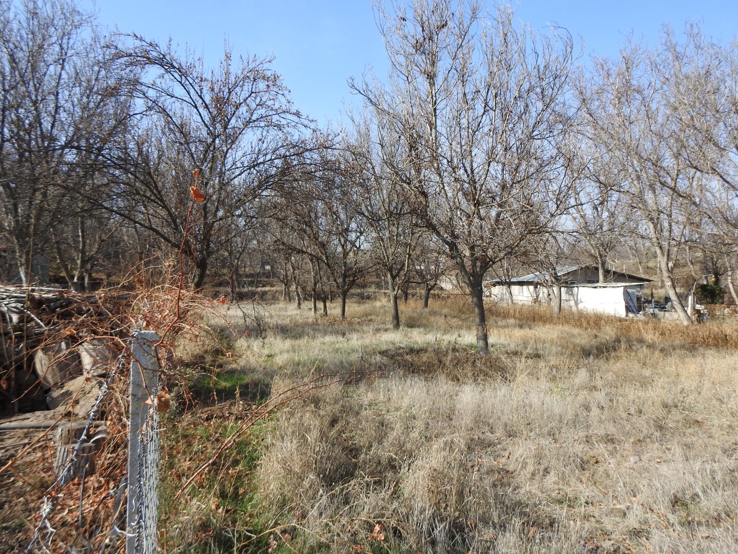 NAR AŞAĞI MAHALLEDE 1850M2 YOLA SIFIR KONUMDA SATILIK BAĞ