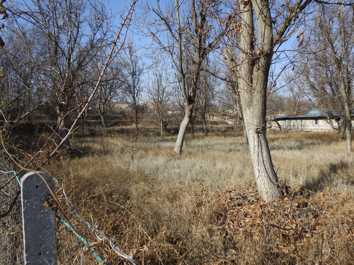 NAR AŞAĞI MAHALLEDE 1850M2 YOLA SIFIR KONUMDA SATILIK BAĞ