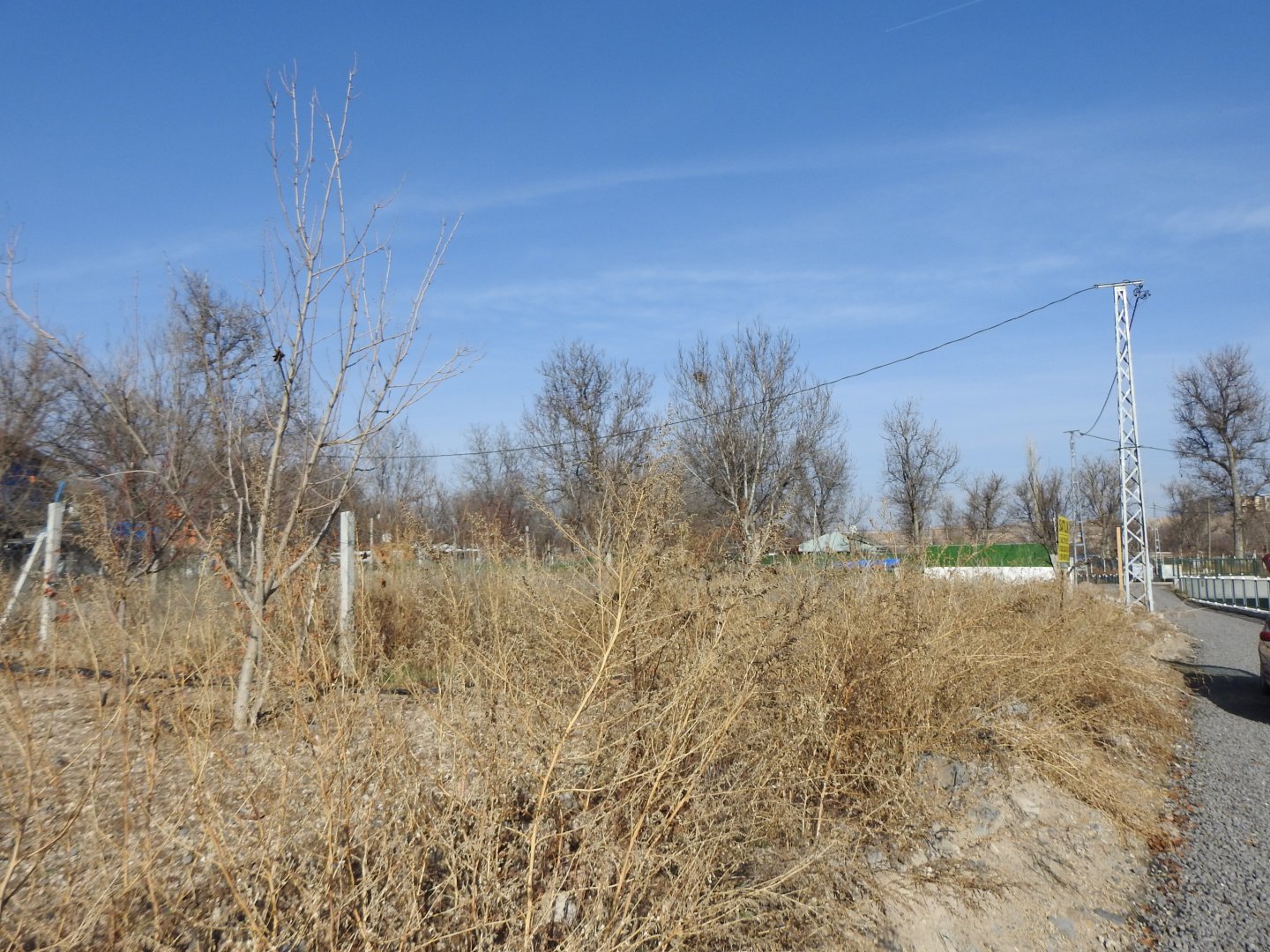 NAR AŞAĞI MAHALLEDE 1850M2 YOLA SIFIR KONUMDA SATILIK BAĞ