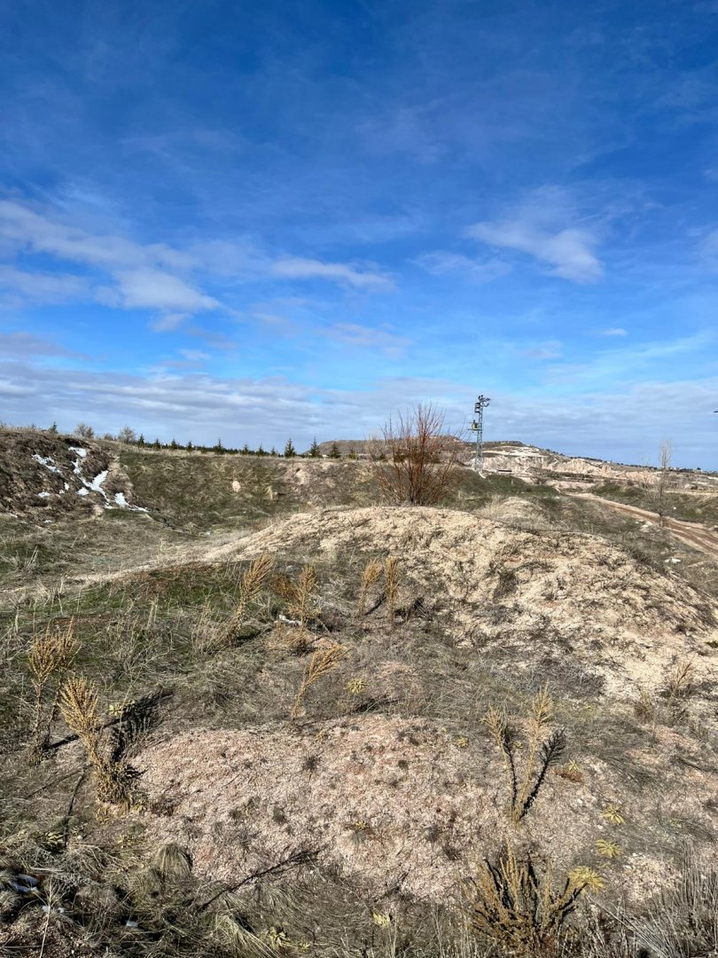 KAVAK KASABASINDA SATILIK SOĞUK HAVA DEPOSU