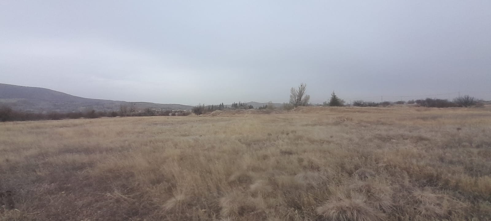 UÇHİSARDA ANA ASFALT YOLA SIFIR 890M2 SATILIK BAĞ