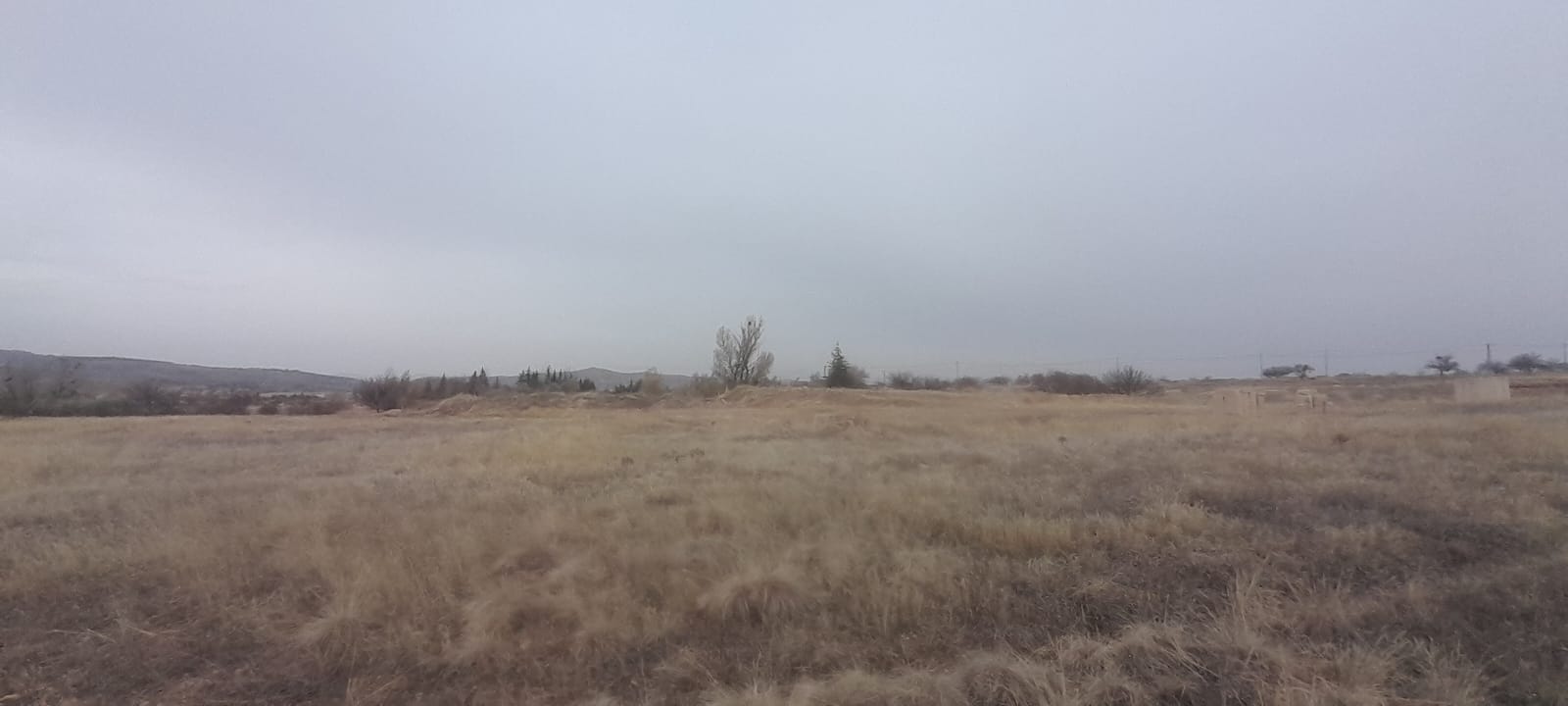 UÇHİSARDA ANA ASFALT YOLA SIFIR 890M2 SATILIK BAĞ