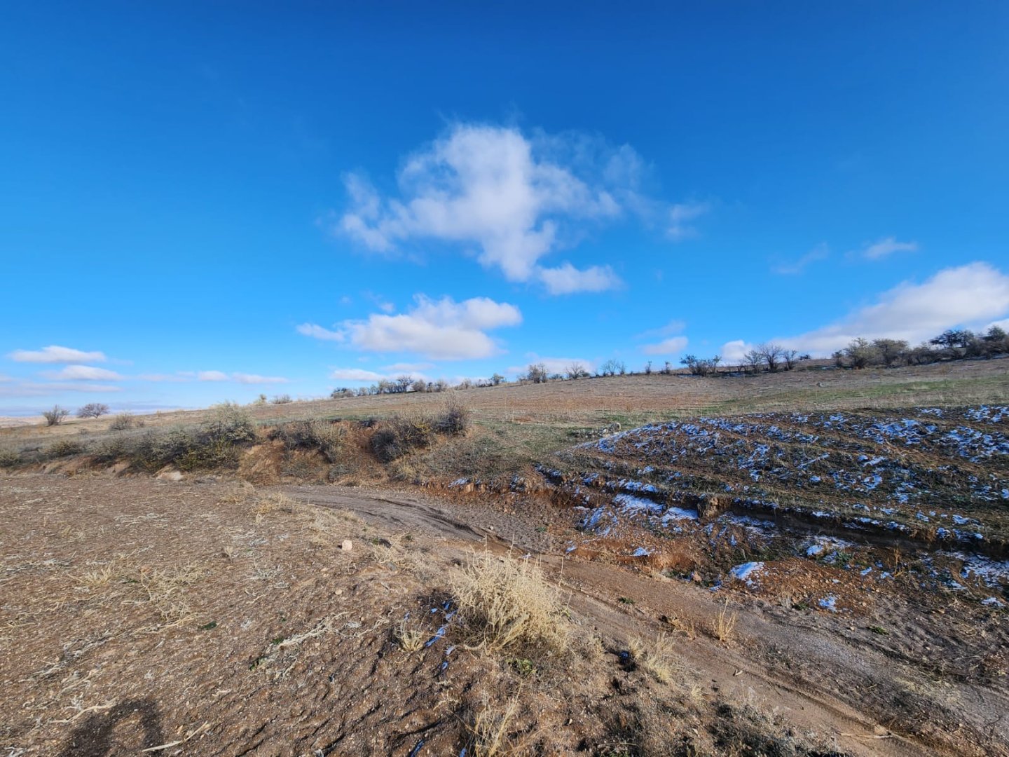 CEVHERDUDAYEVDE SATILIK TARLA