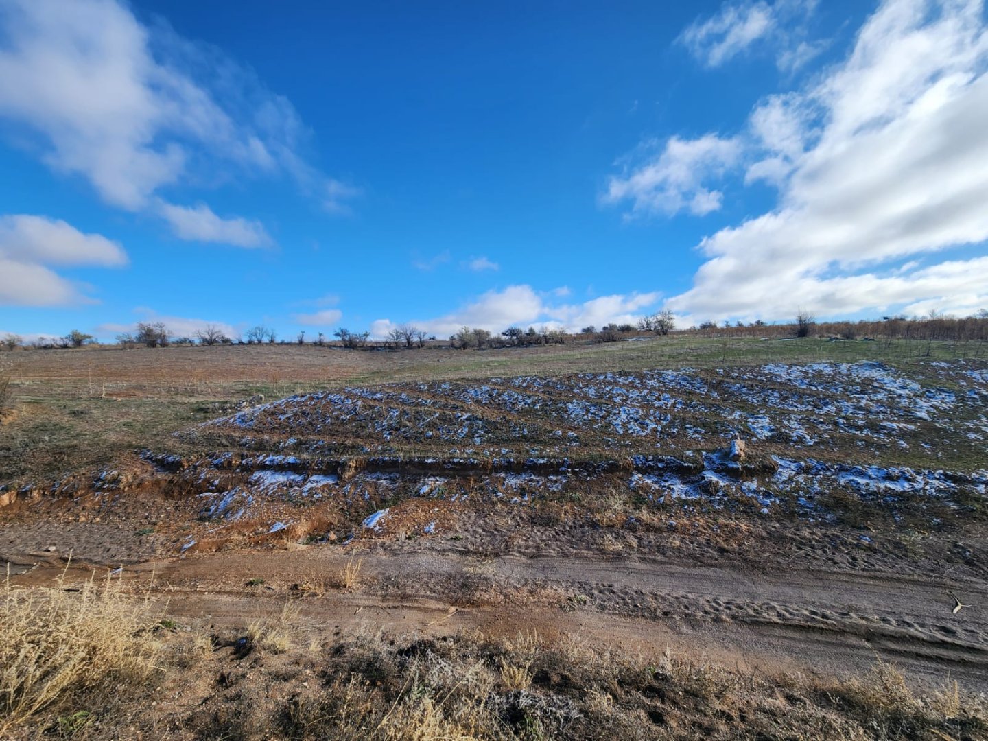 CEVHERDUDAYEVDE SATILIK TARLA