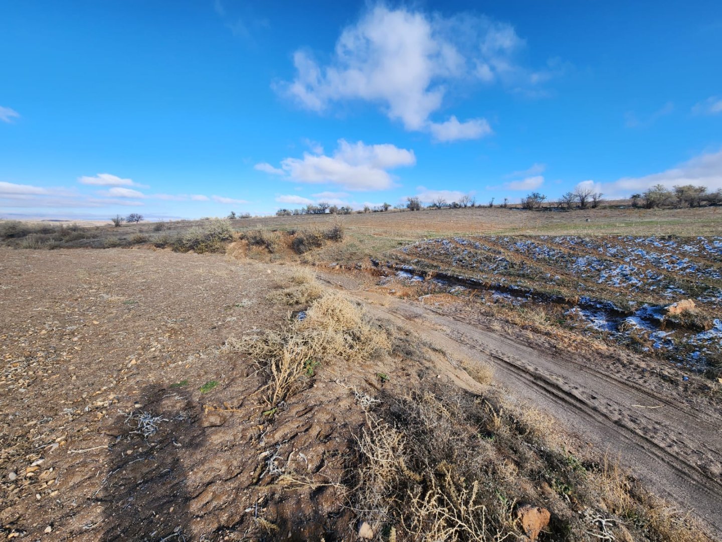 CEVHERDUDAYEVDE SATILIK TARLA