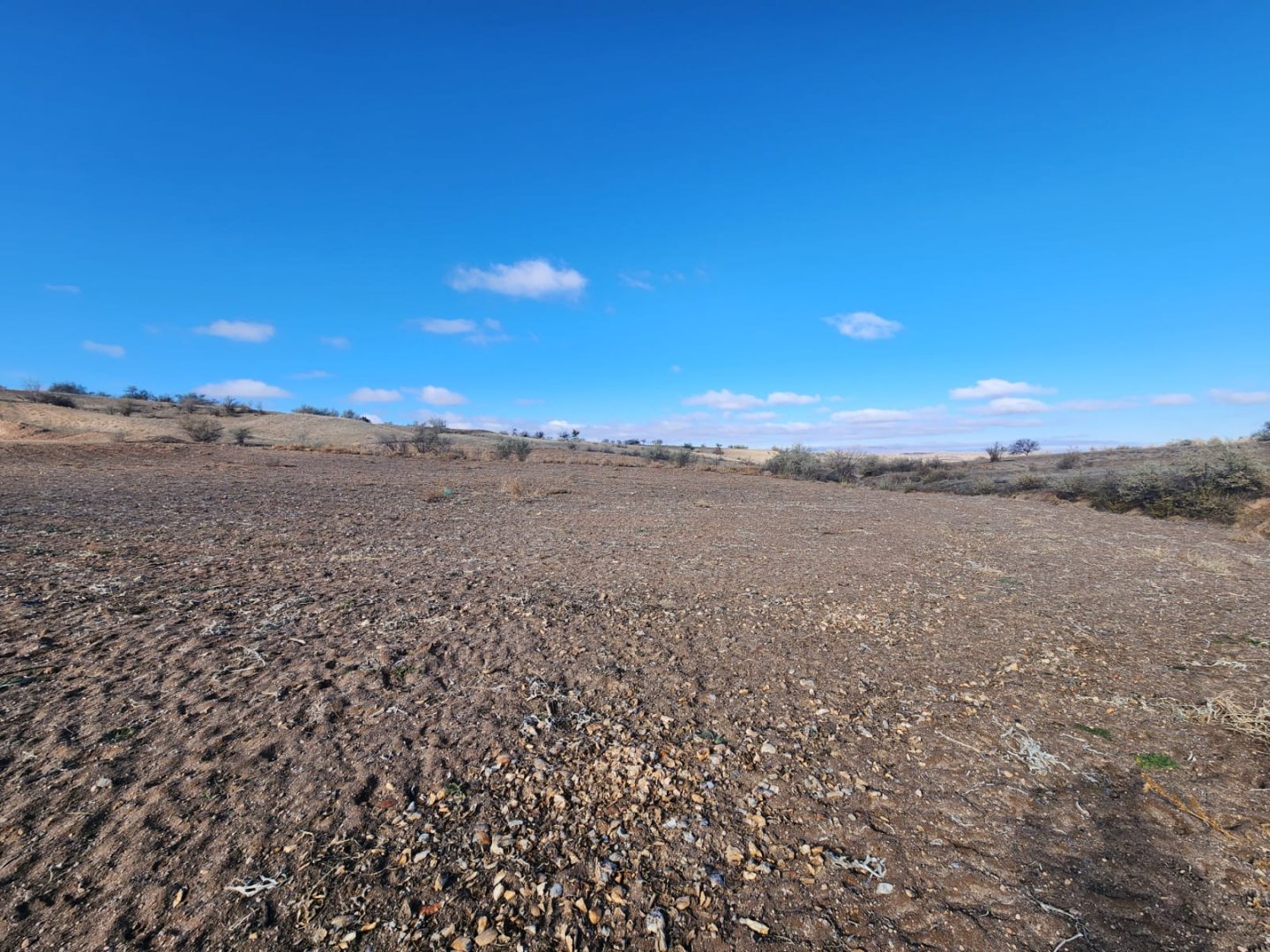 CEVHERDUDAYEVDE SATILIK TARLA