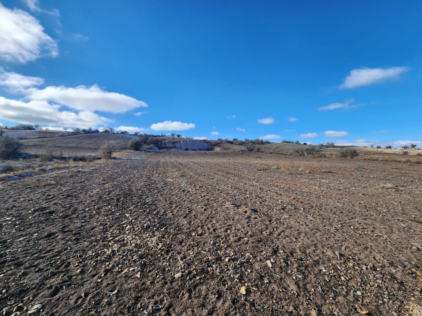 CEVHERDUDAYEVDE SATILIK TARLA