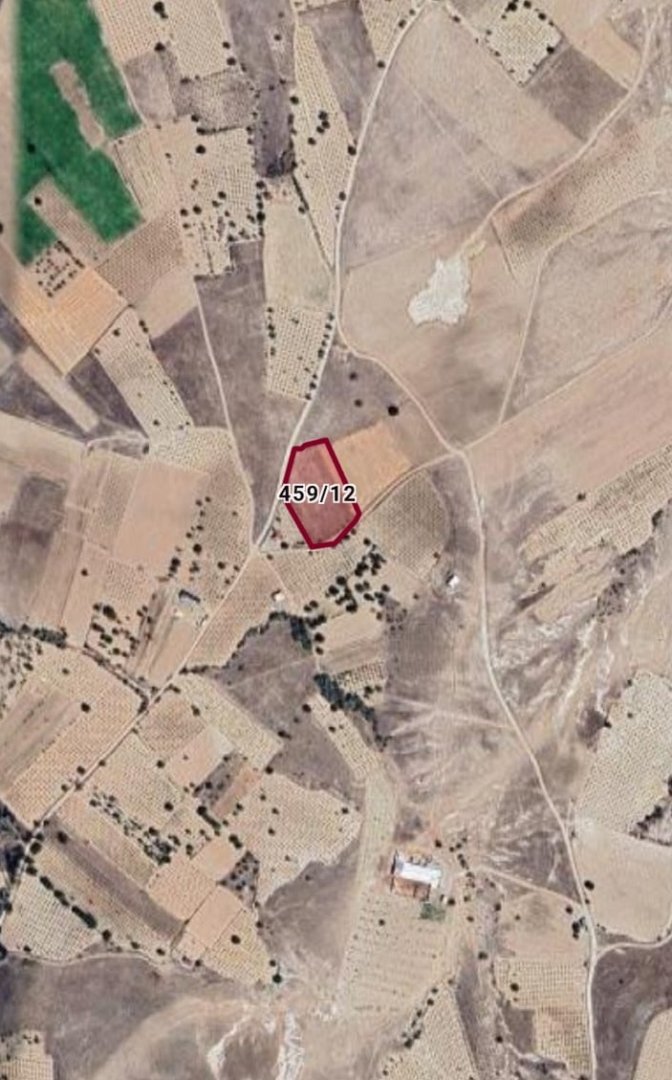 SULUSARAY YENİ MAHALLEDE 5990M2 SATILIK BAĞ