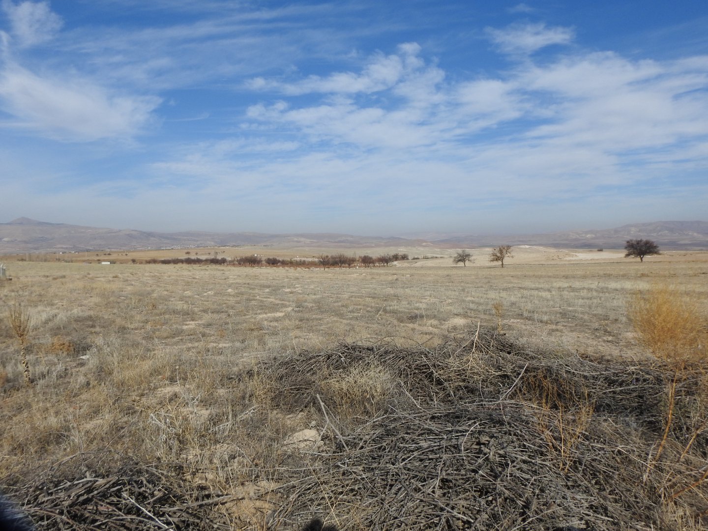 SULUSARAY YENİ MAHALLEDE 5990M2 SATILIK BAĞ