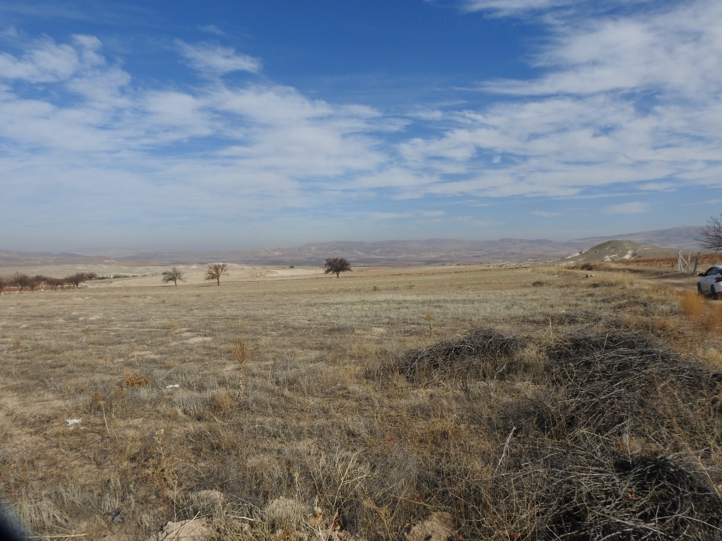 SULUSARAY YENİ MAHALLEDE 5990M2 SATILIK BAĞ