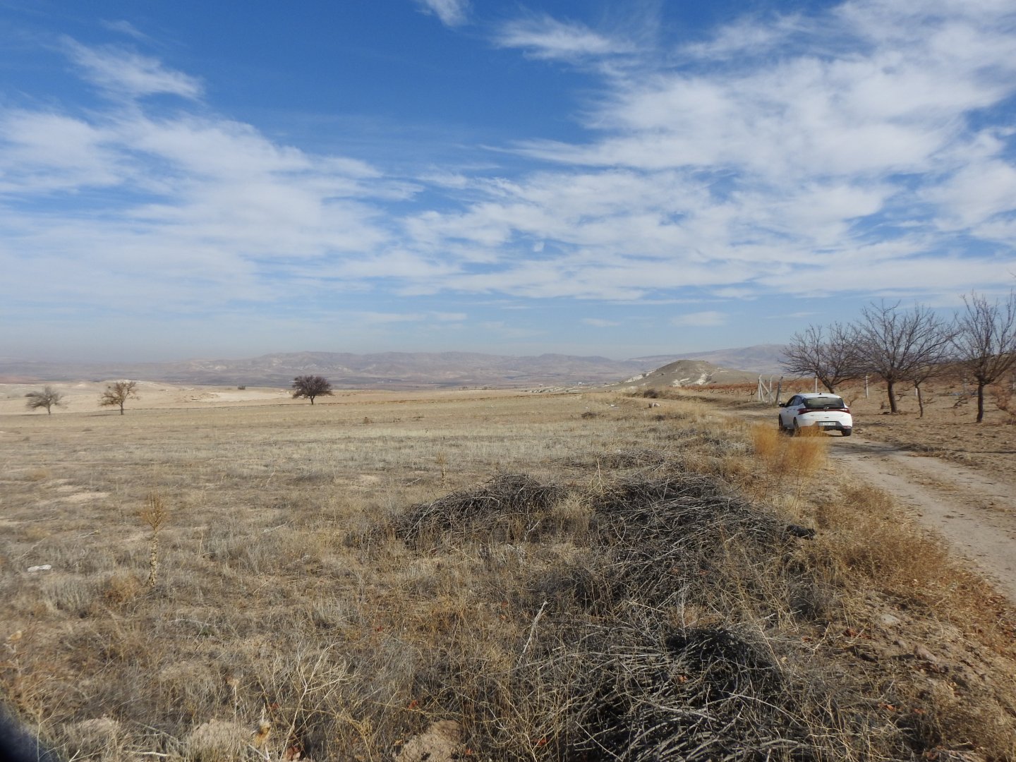 SULUSARAY YENİ MAHALLEDE 5990M2 SATILIK BAĞ