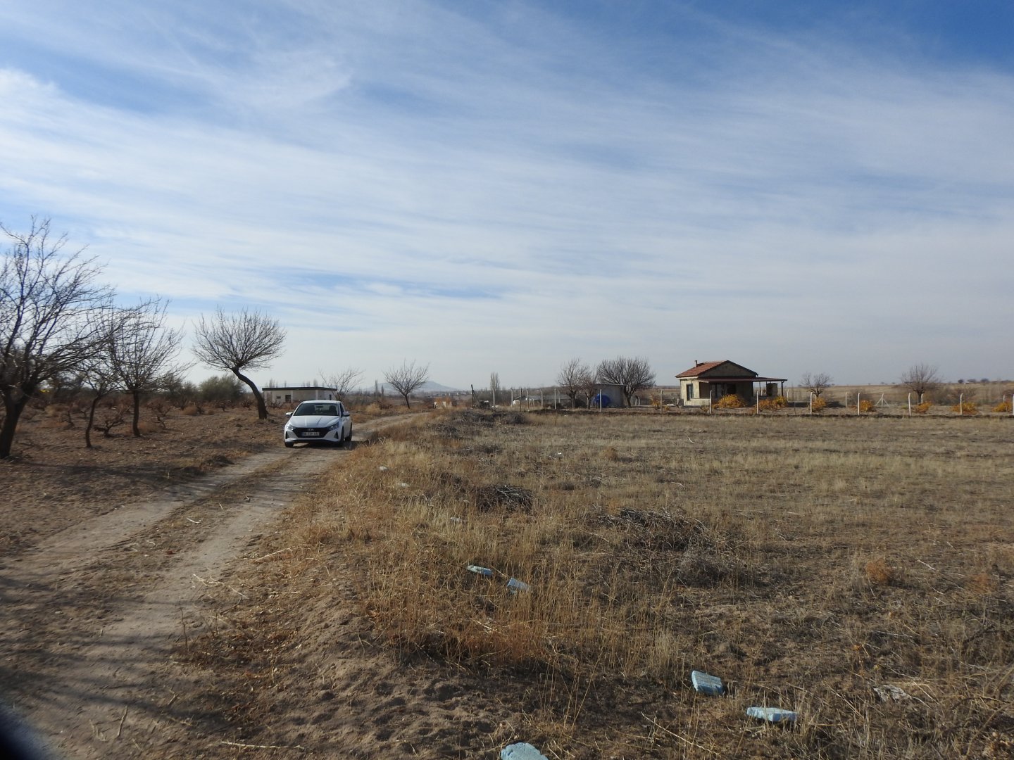 SULUSARAY YENİ MAHALLEDE 5990M2 SATILIK BAĞ