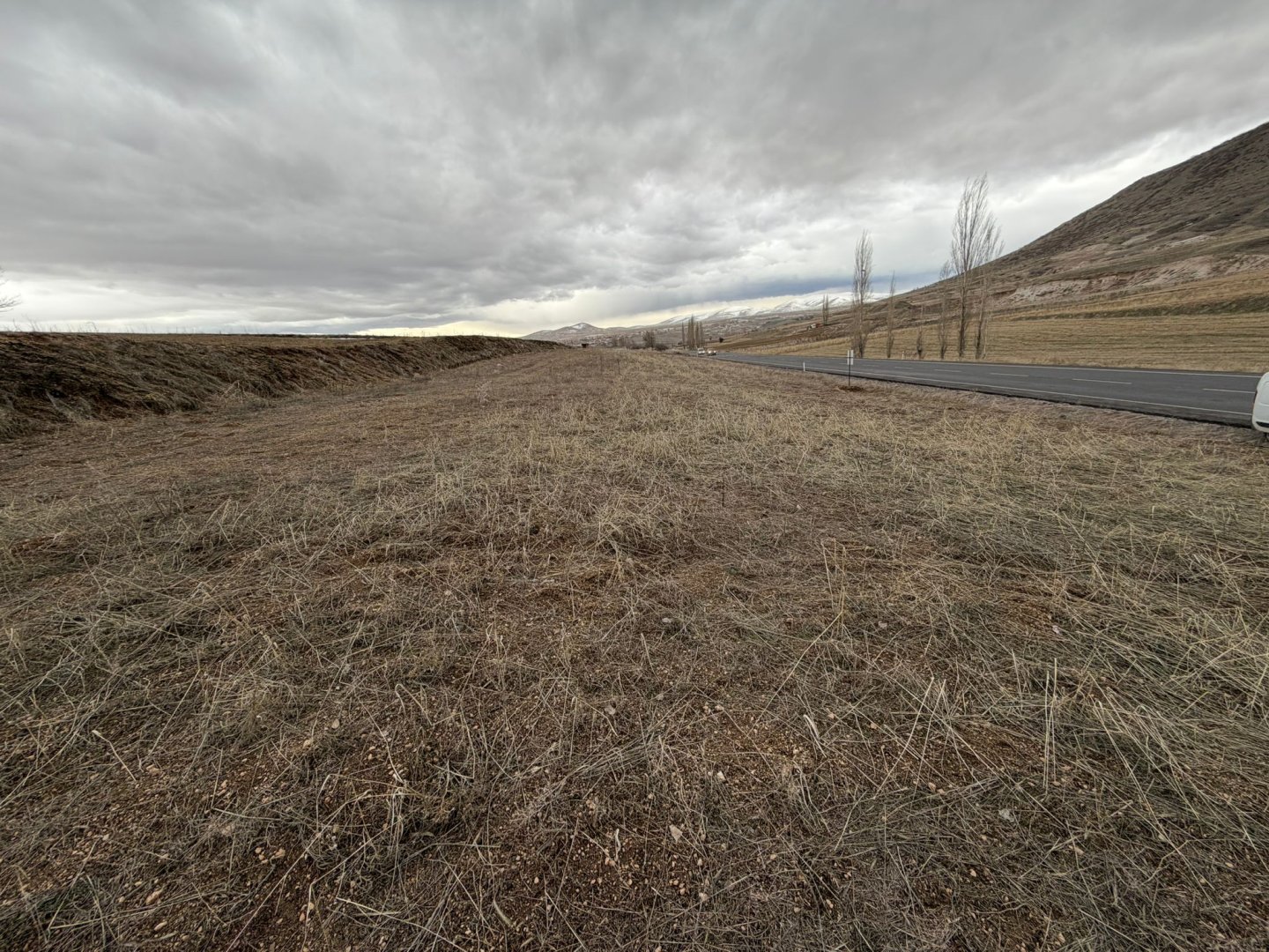 ÇARDAK YOLUNDA SATILIK TARLA