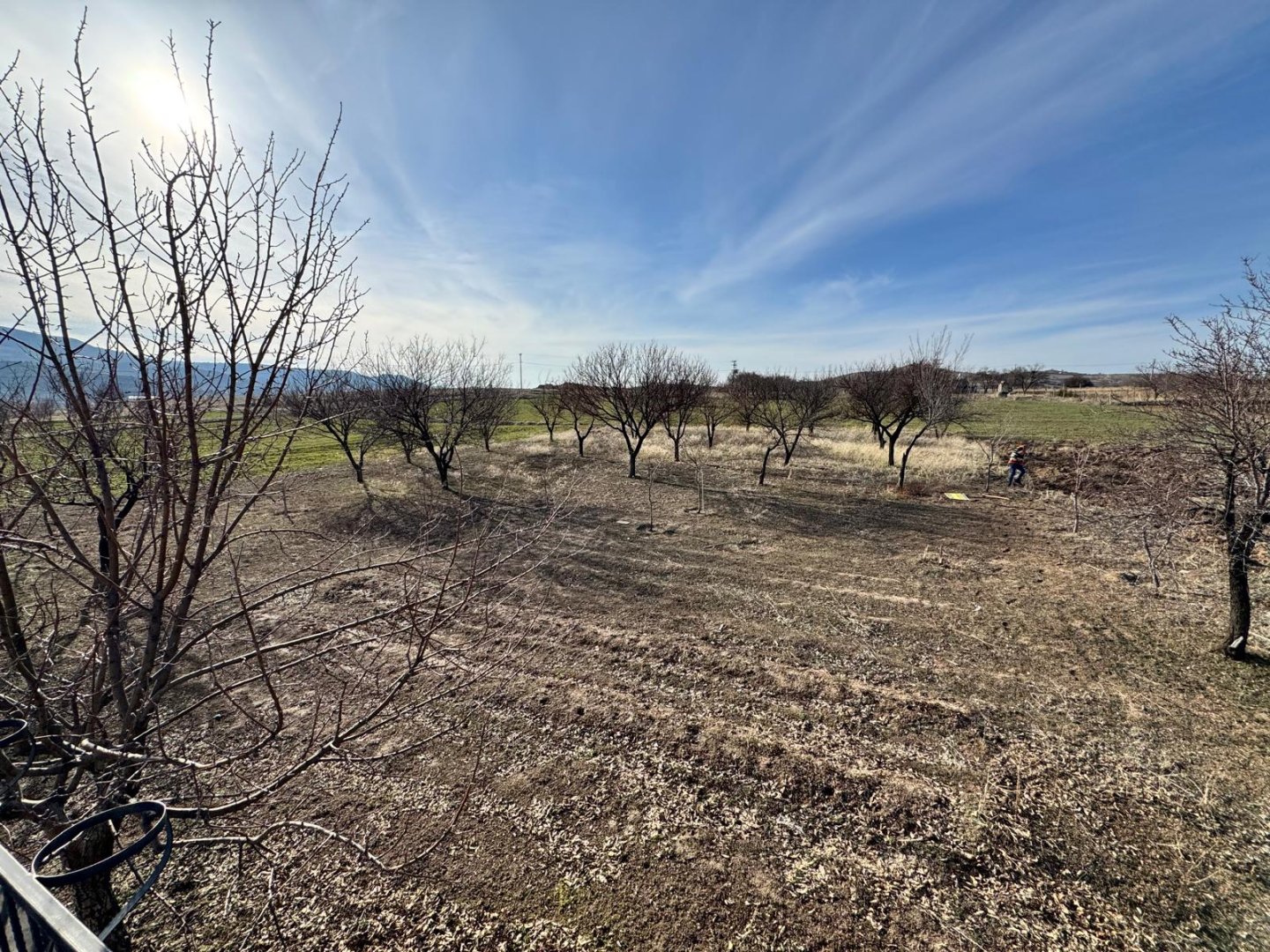 UÇHİSARDA SATILIK BAĞ.