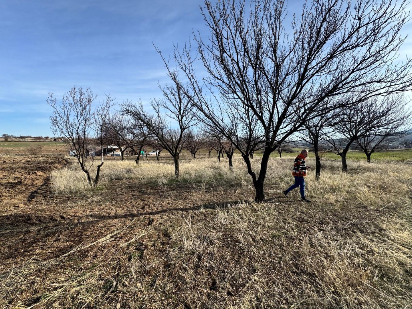 UÇHİSARDA SATILIK BAĞ.