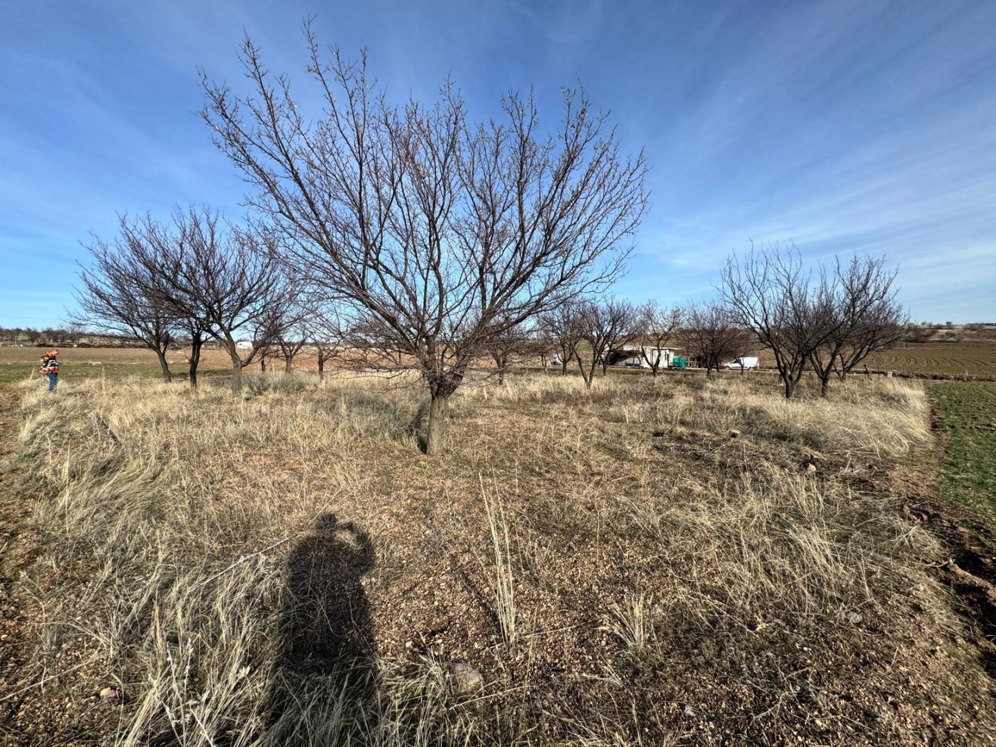 UÇHİSARDA SATILIK BAĞ.