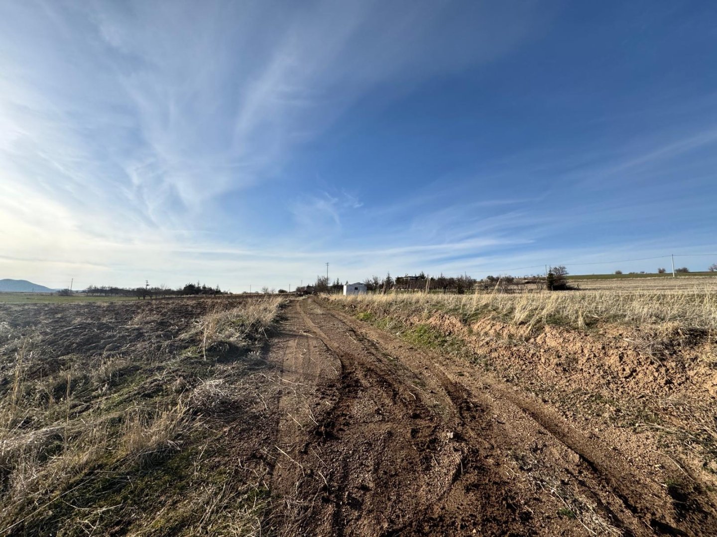 UÇHİSARDA SATILIK TARLA.