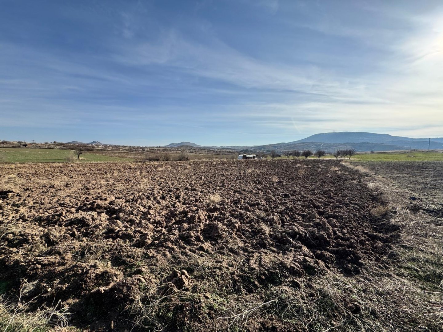 UÇHİSARDA SATILIK TARLA.