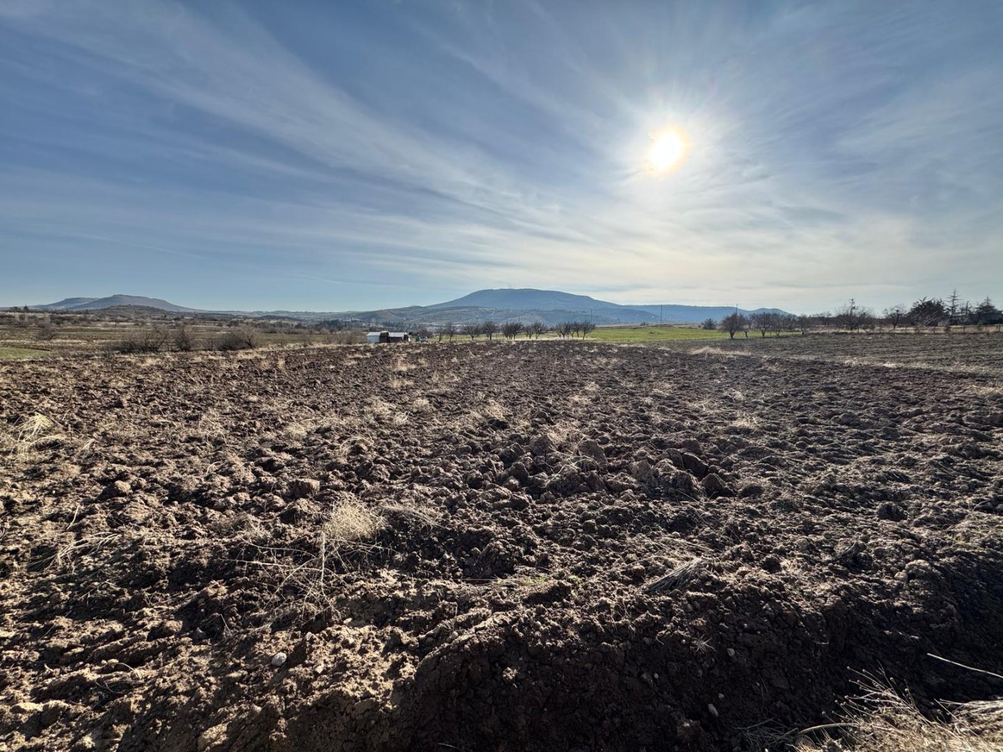 UÇHİSARDA SATILIK TARLA.