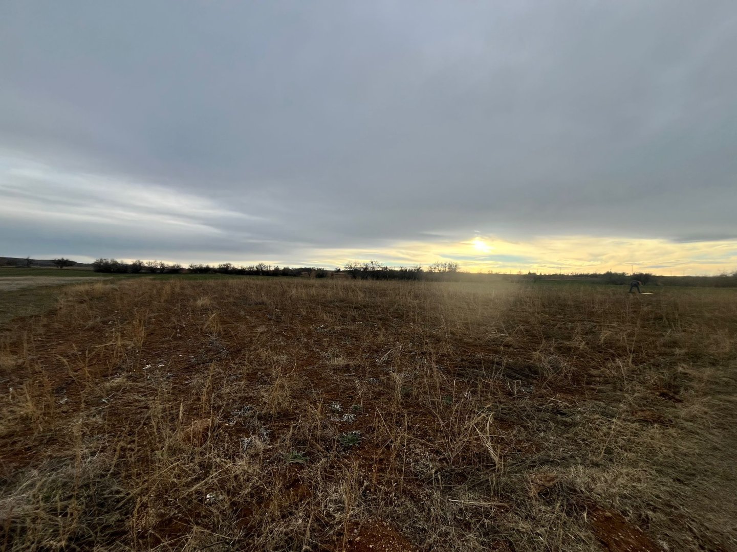 CEVHERDUDAYEVDE SATILIK TARLA