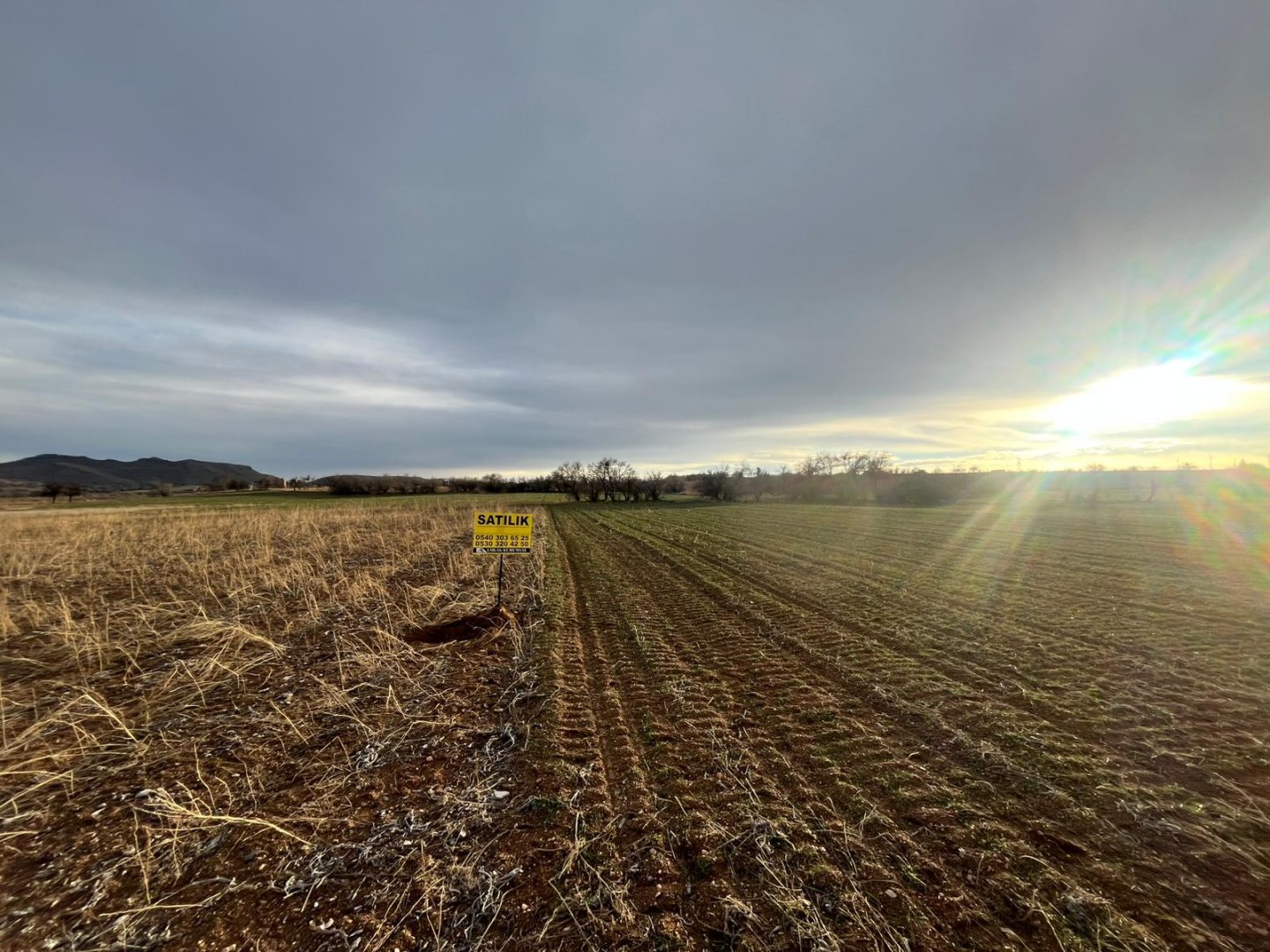 CEVHERDUDAYEVDE SATILIK TARLA