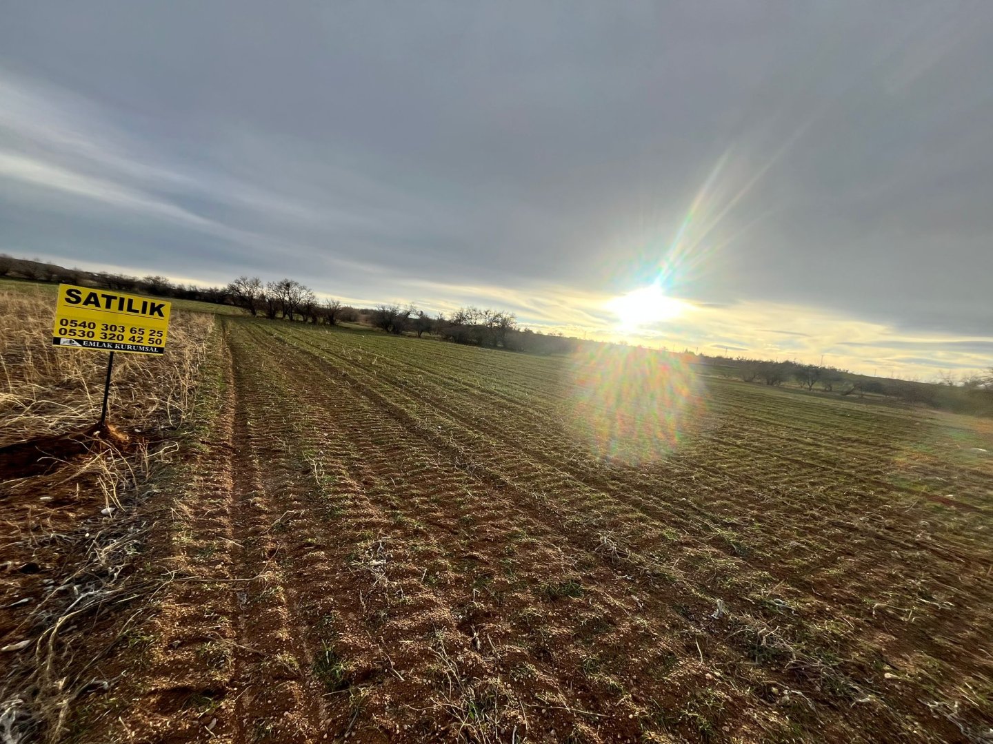 CEVHERDUDAYEVDE SATILIK TARLA